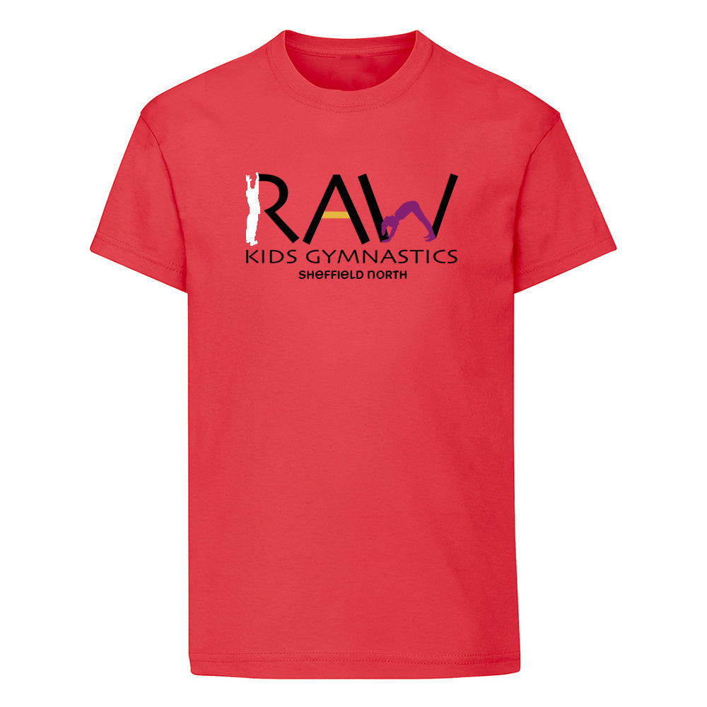 Raw Sheffield North T shirt