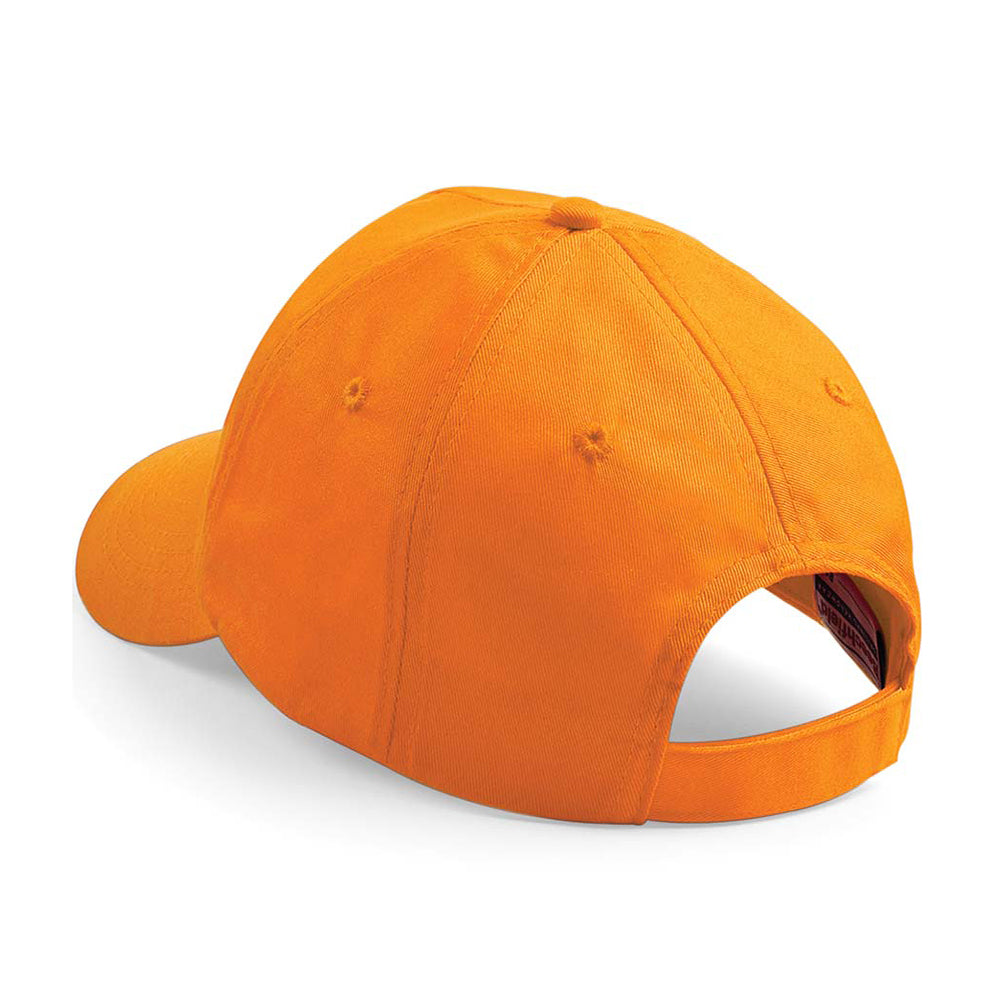 CSS Activities 5 panel Cap